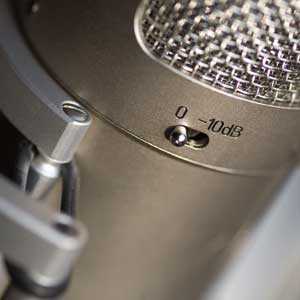 Brauner microphones Phantom V. Студийный конденсаторный микрофон